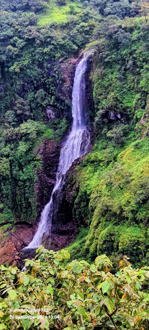 IMG 20240920 WA0008