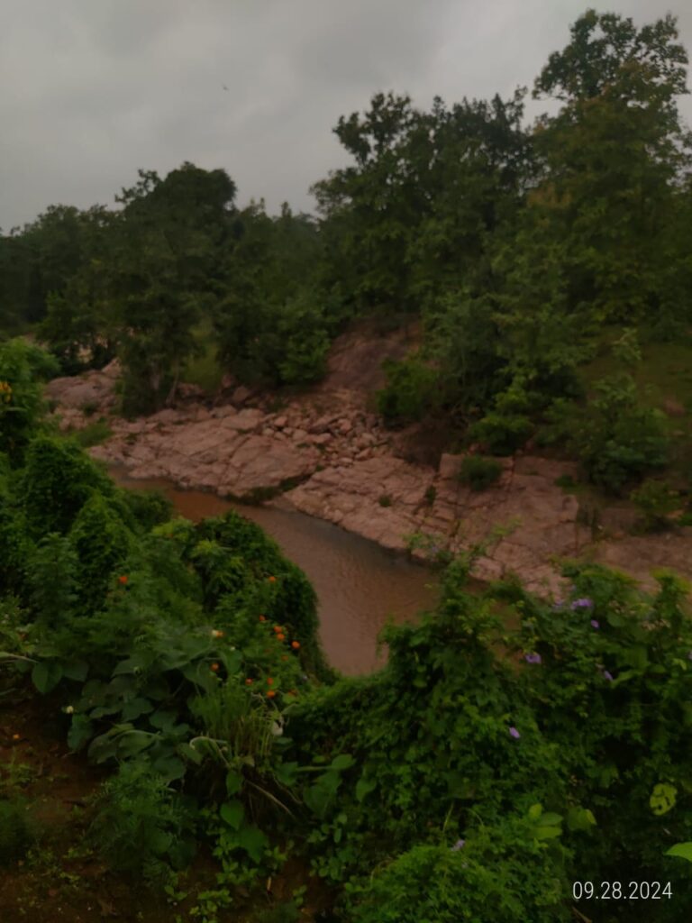 IMG 20240928 WA0030